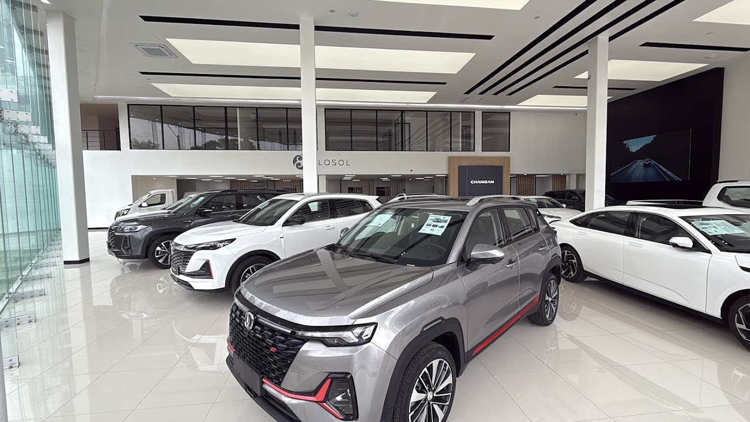 Changan Flosol Experience